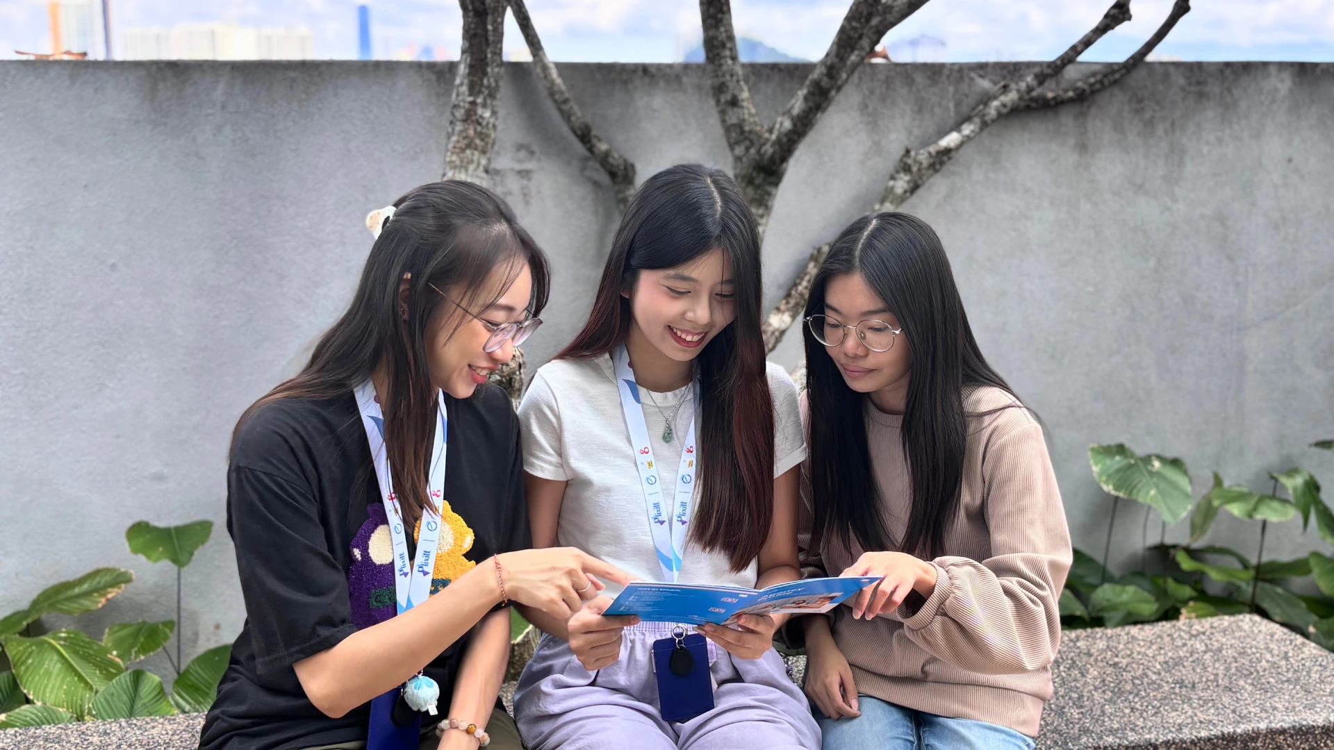 Plixitt team members working together in the office